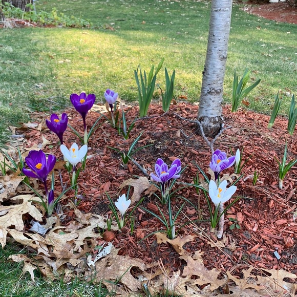 Meet your Posher, Emily - Picture 1 of 1